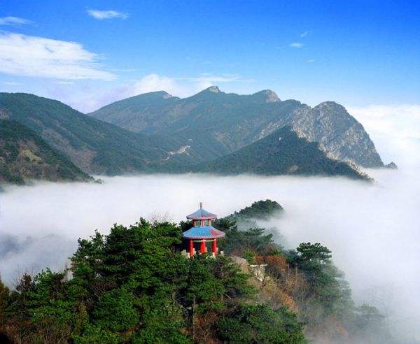 东莞2020年1月自考成绩查询时间