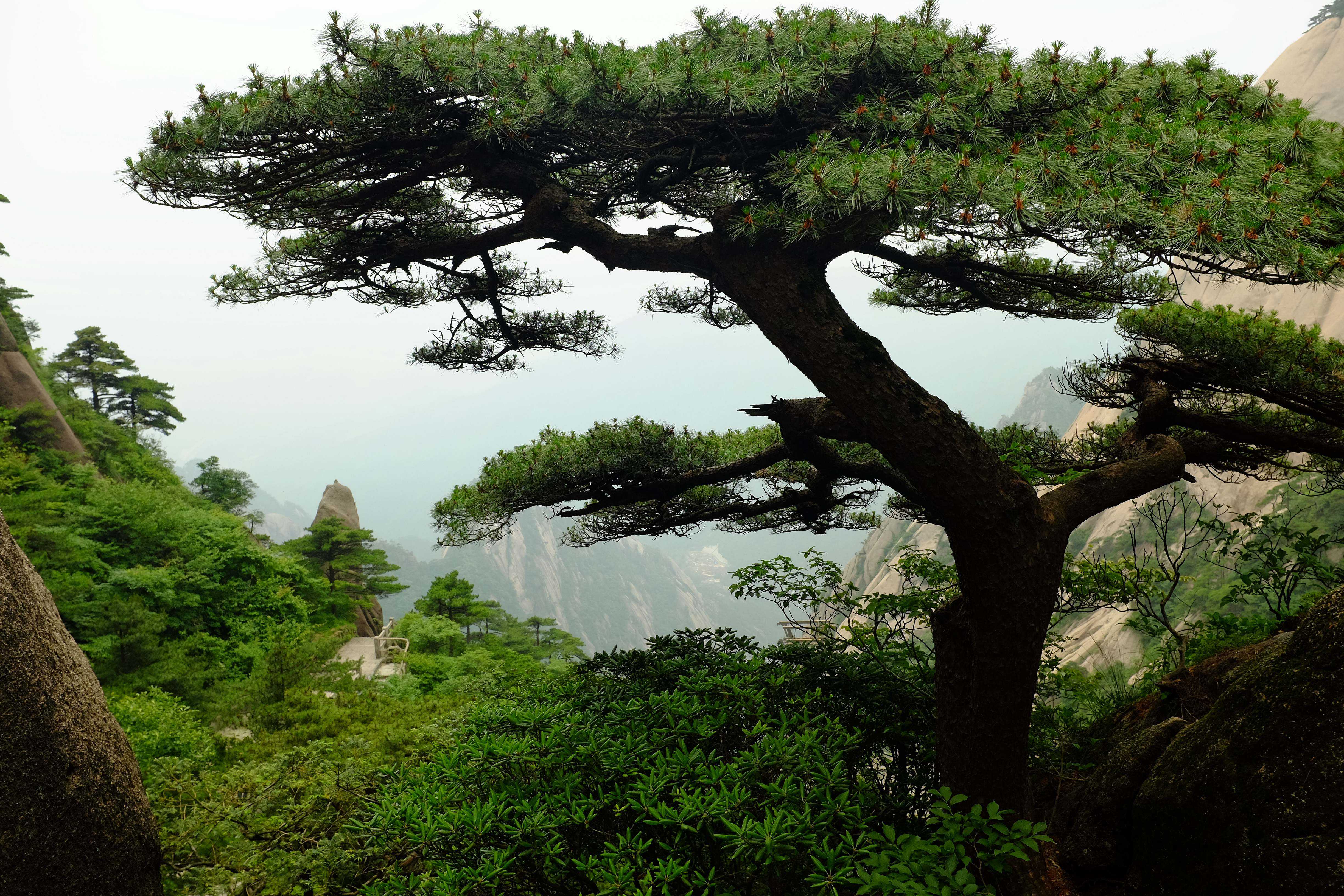 2020年东莞自考如何修改绑定的手机号码？