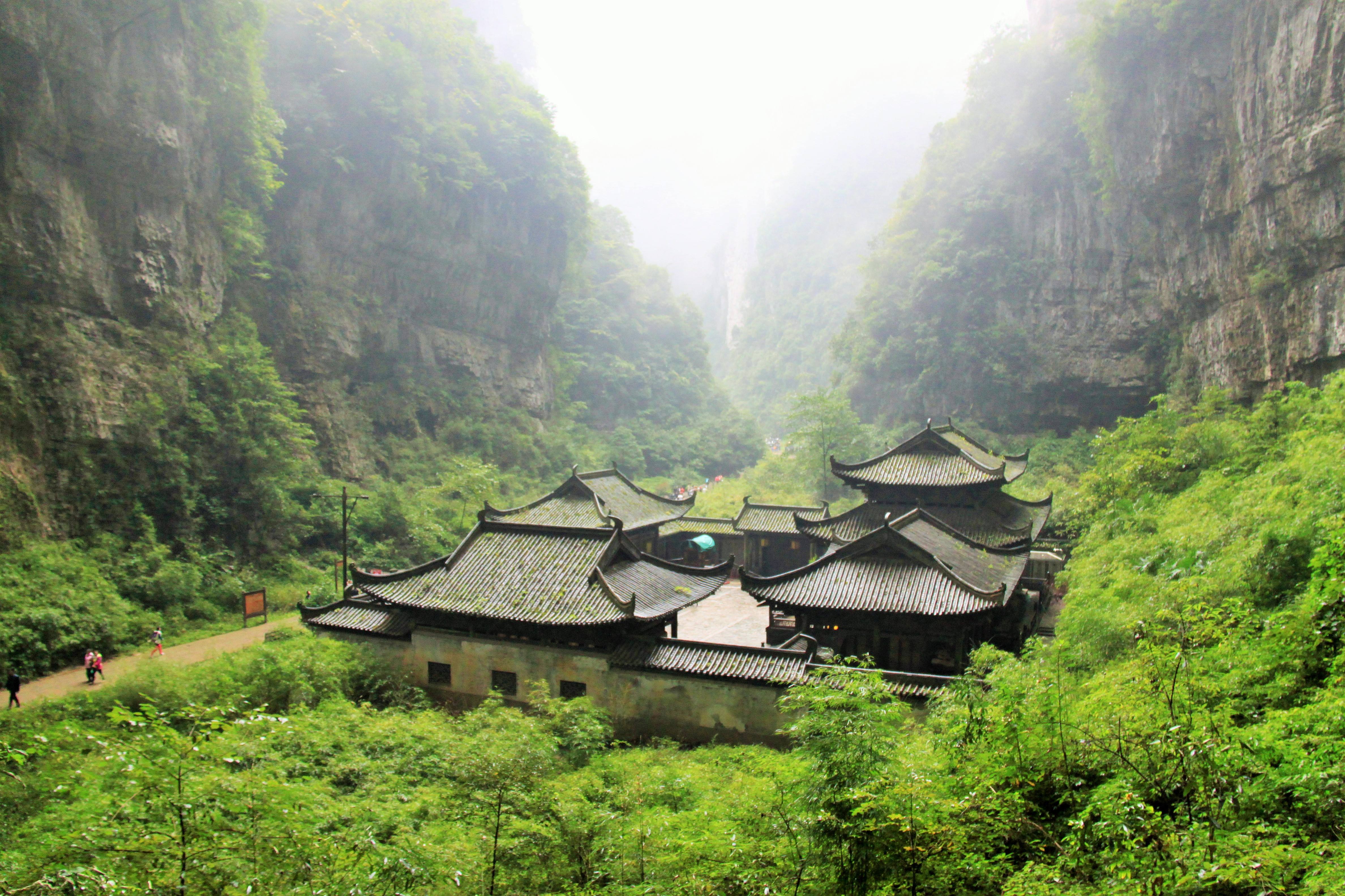 【东莞市】关于公布我市2019年4月广东省自学考试成绩的通知