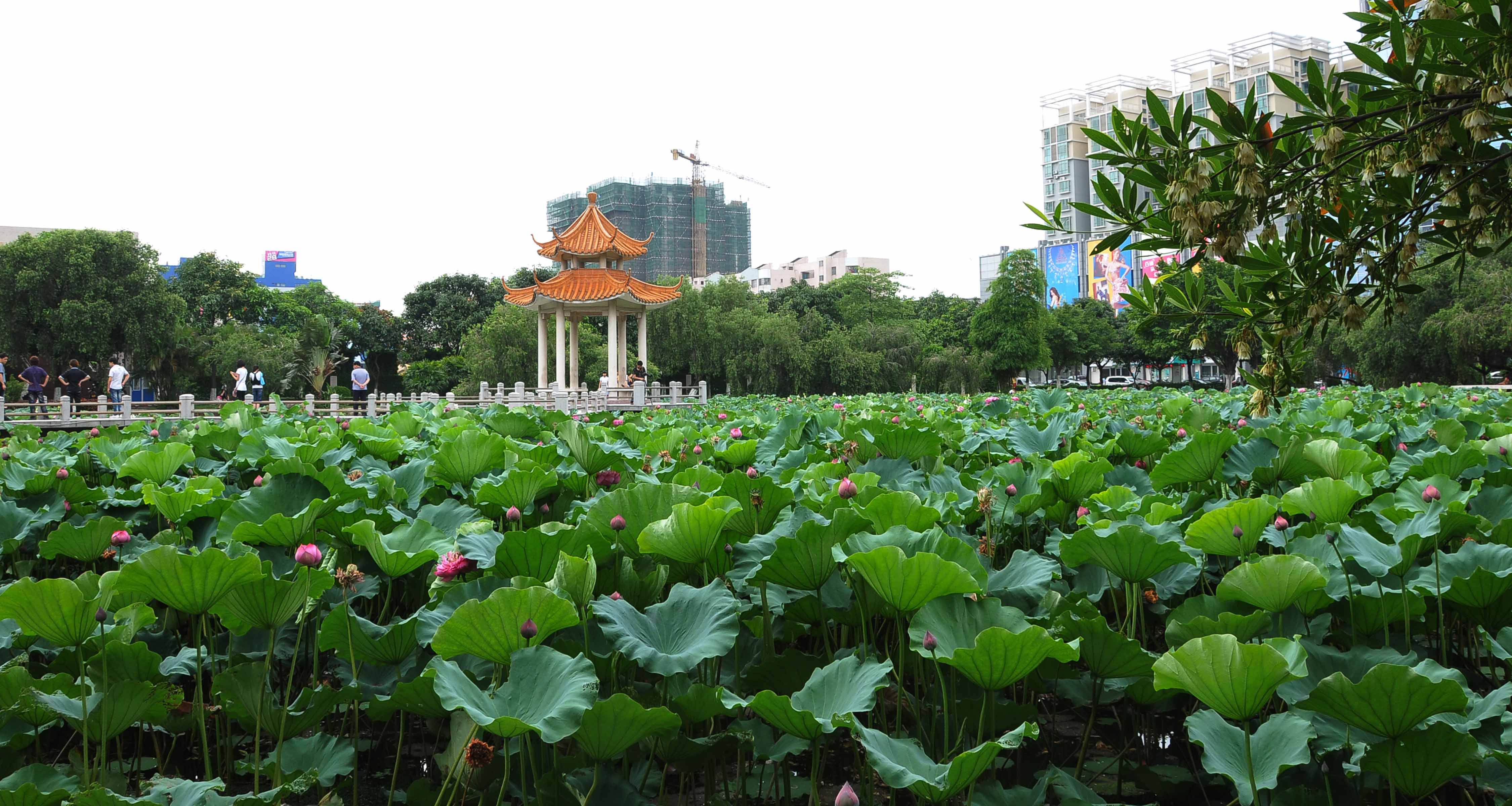2020年1月中山自考考场违规处理