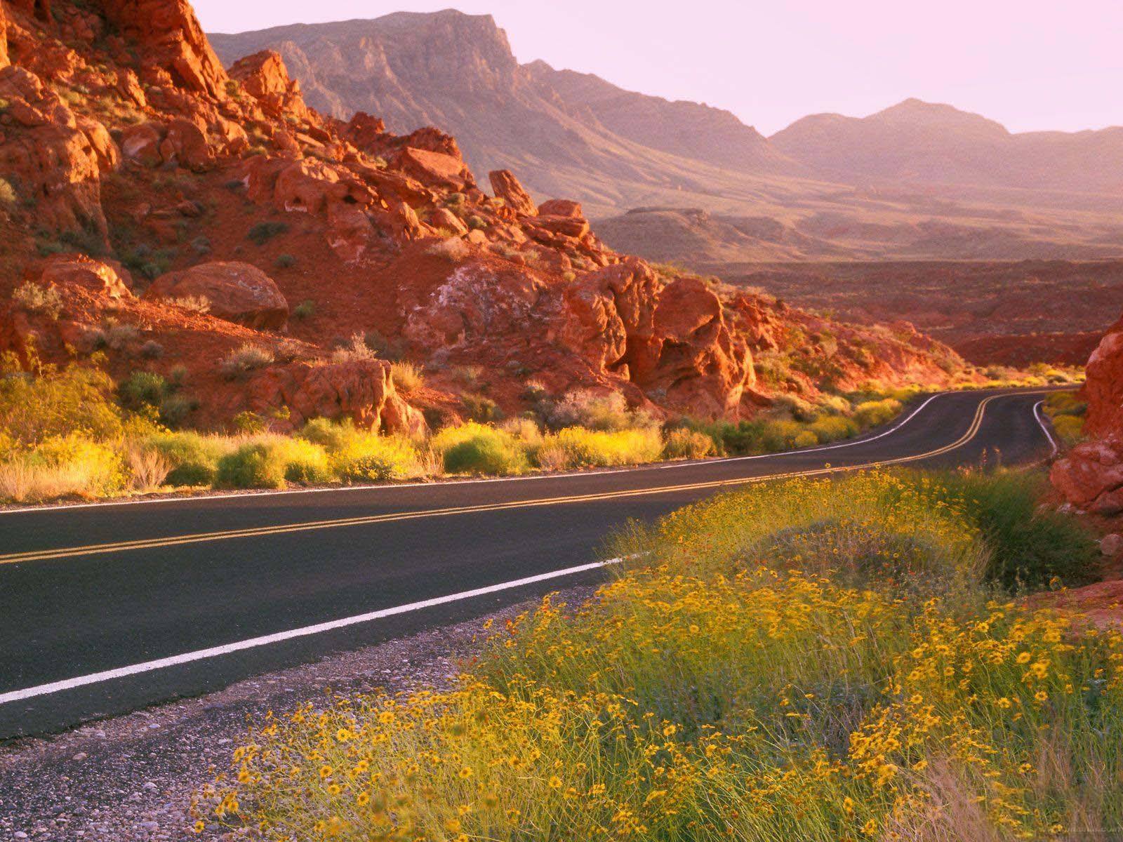 2020年中山成人高考准考证忘了该怎么办？