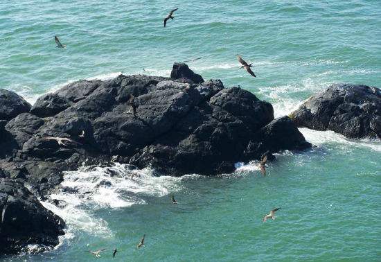 【汕头市】汕头自考2018年10月考试时间