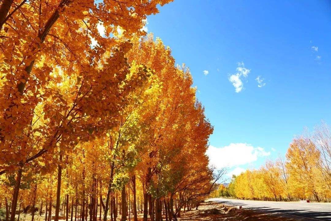 2020年1月韶关市自考考试指南