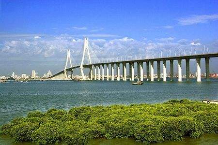 【湛江市】2019年自考停考的专业及停考专业的后续时间安排