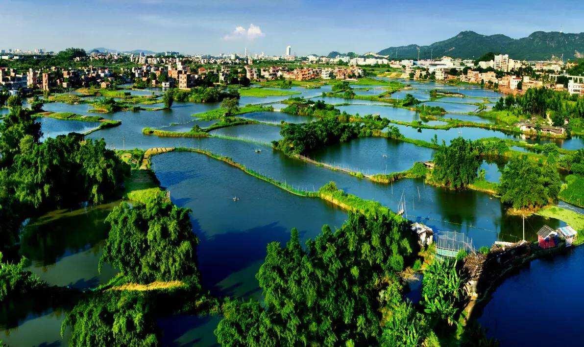 【江门市】2018年下半年自学考试办理毕业登记须知