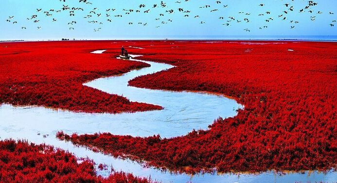 2020年梅州自考如何修改绑定的手机号码？