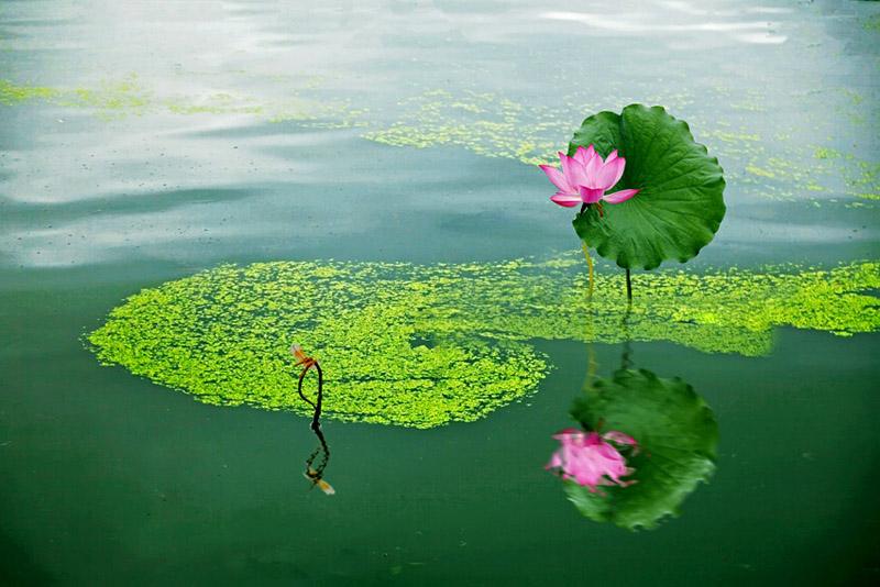 2020年1月汕尾自考考场违规处理(图1) 2020年1月汕尾自考考场违规处理