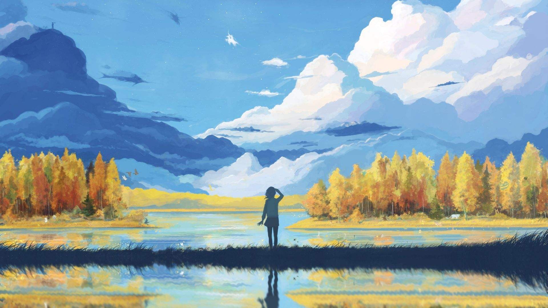 2020年1月河源自考报名报考费能退吗？