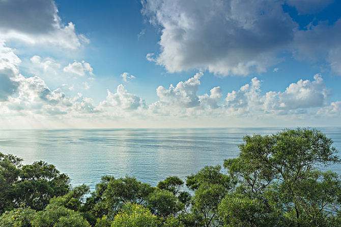 2020年阳江自考如何修改绑定的手机号码？