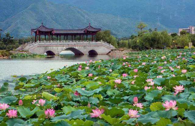 2019年清远自考的毕业档案遗失了怎么办？