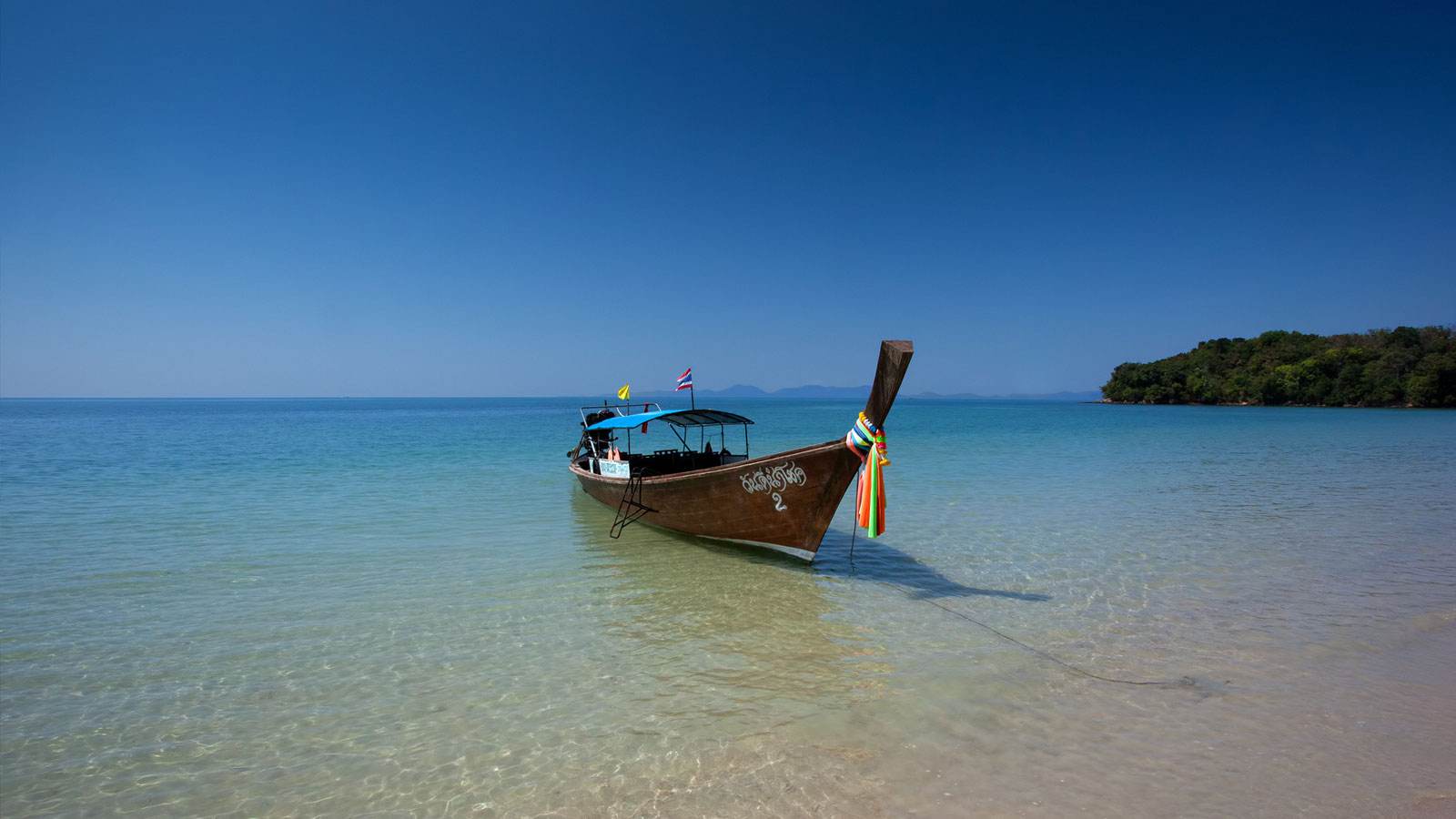 【清远市】2019年自考停考的专业及停考专业的后续时间安排