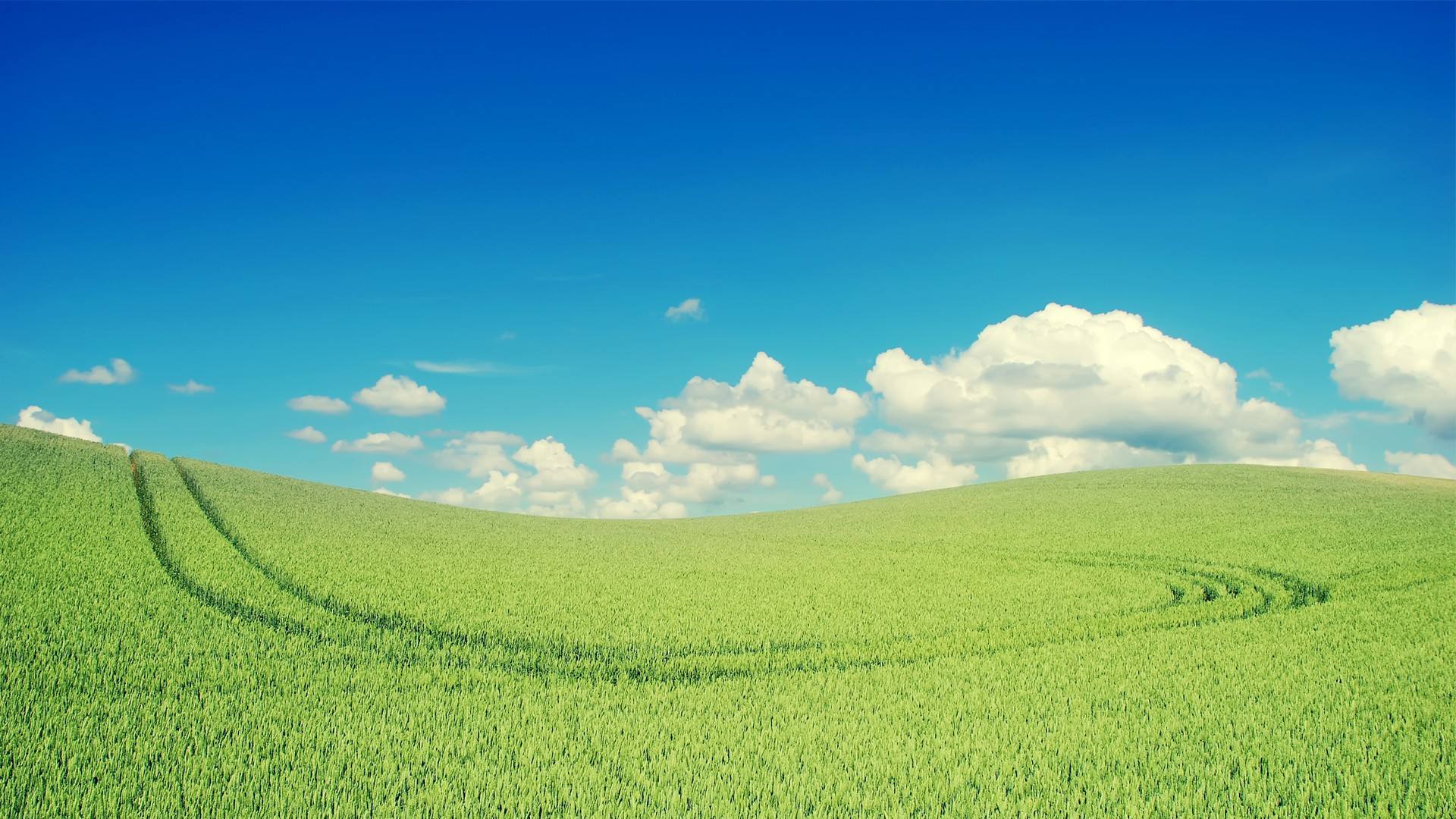 【清远市】清远自考2018年10月考试时间