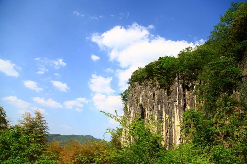 2020年潮州自考如何修改绑定的手机号码？