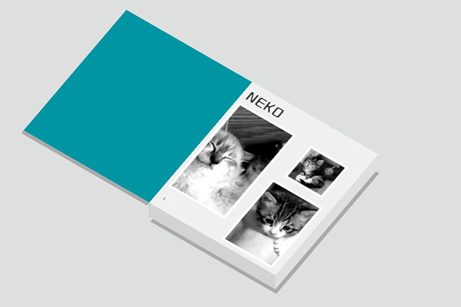 广东自考“财务管理学”重点解析3(图1)