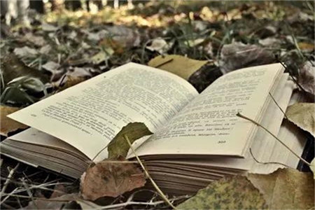 广东潮州自考办在哪？(图1)