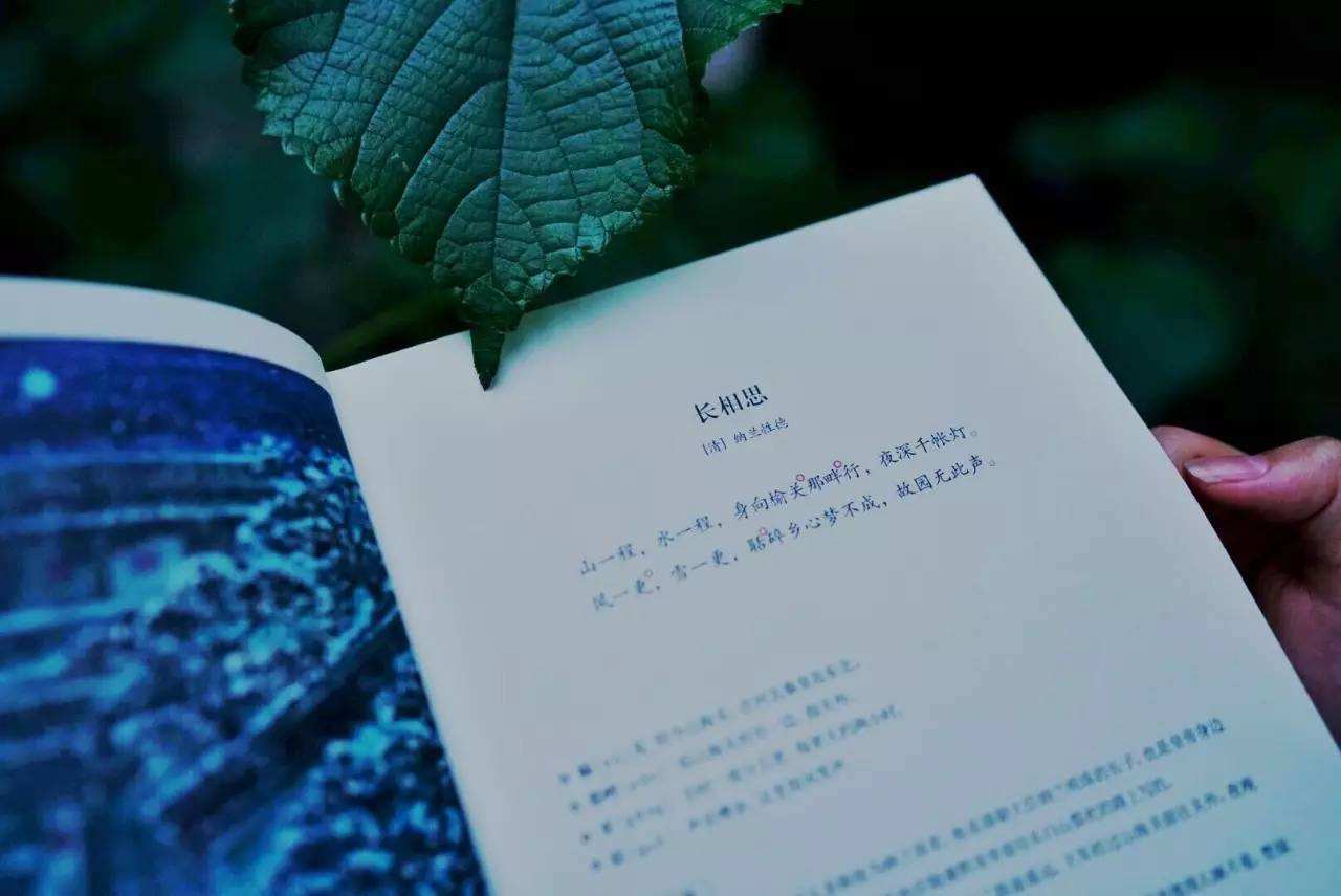 广东自考本科学历和学籍有什么区别？(图1)