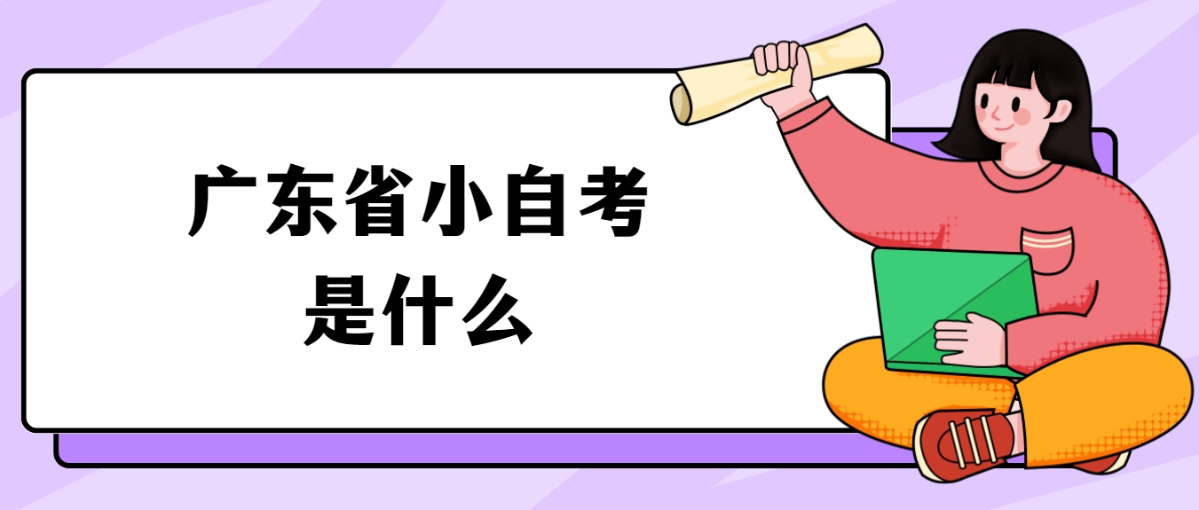 广东省小自考是什么